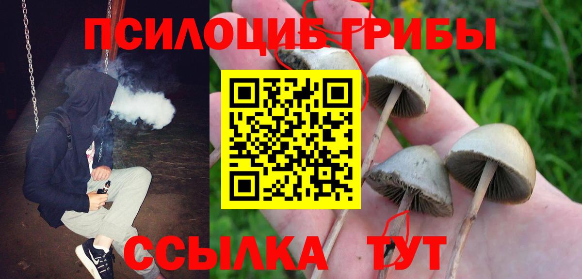 Тулун  Галлюциногенные грибы MAGIC MUSHROOMS  Вход с VPN 